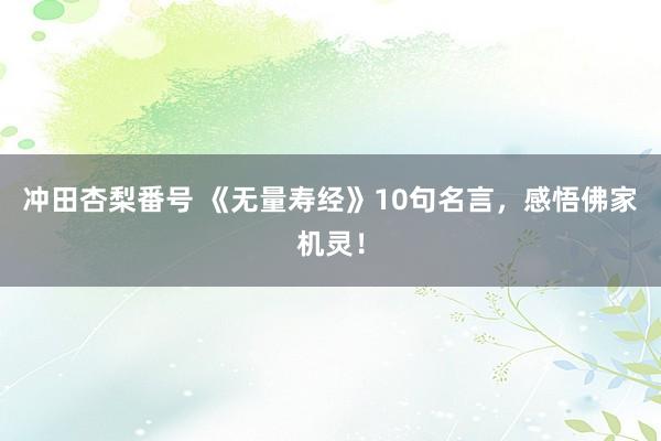 冲田杏梨番号 《无量寿经》10句名言，感悟佛家机灵！