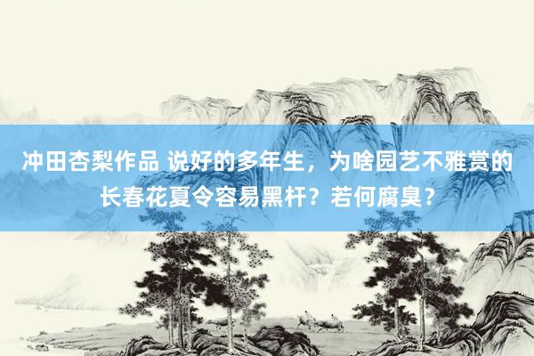 冲田杏梨作品 说好的多年生，为啥园艺不雅赏的长春花夏令容易黑杆？若何腐臭？