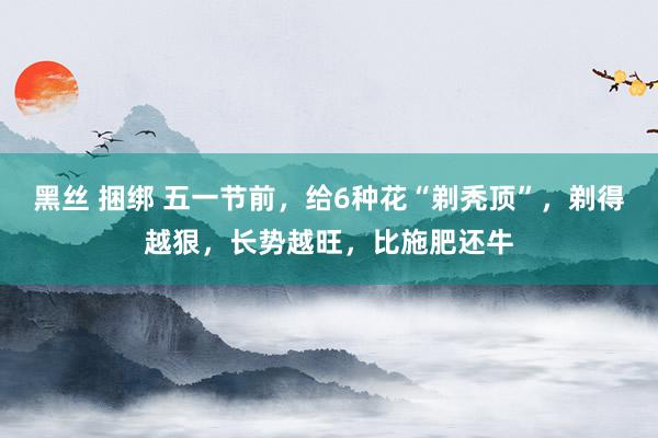 黑丝 捆绑 五一节前，给6种花“剃秃顶”，剃得越狠，长势越旺，比施肥还牛