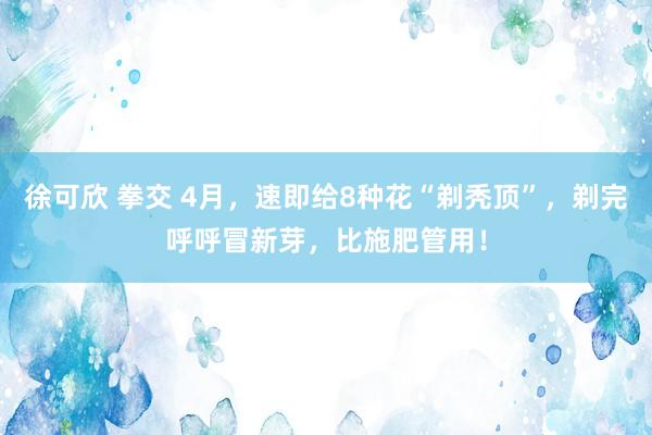 徐可欣 拳交 4月，速即给8种花“剃秃顶”，剃完呼呼冒新芽，比施肥管用！