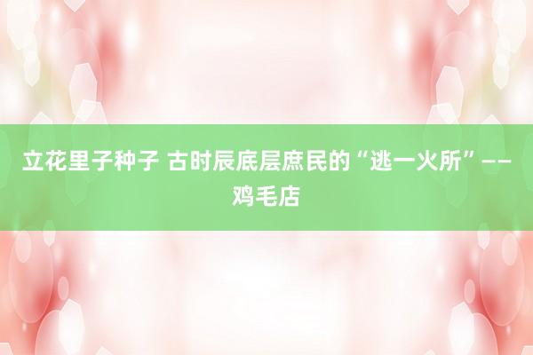 立花里子种子 古时辰底层庶民的“逃一火所”——鸡毛店