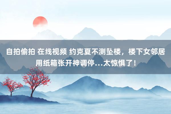 自拍偷拍 在线视频 约克夏不测坠楼，楼下女邻居用纸箱张开神调停…太惊惧了！